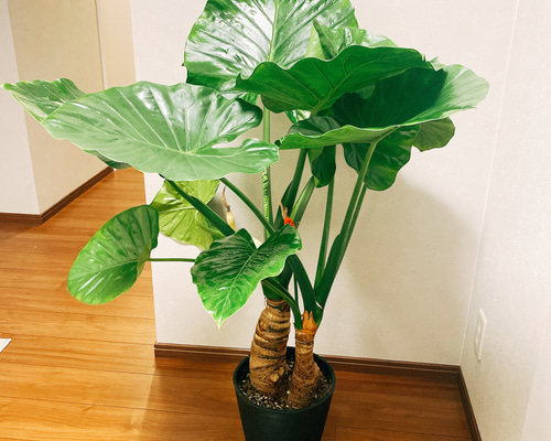 dfdf1b97f6121288352304aba0cb33