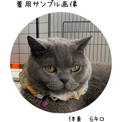 猫首輪　柔らかいシフォンシュシュ　シュシュ首輪　黄色いお花　ハンドメイド 3枚目の画像