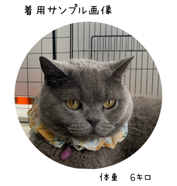 猫首輪　柔らかいシフォンシュシュ　シュシュ首輪　黄色いお花　ハンドメイド 3枚目の画像