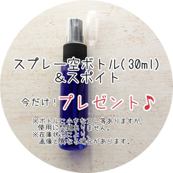 〈送料無料〉金木犀フレグランススプレー   詰め替え用(リフィル) 100ml ルームスプレー 2枚目の画像