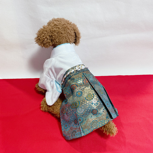 犬の袴✨犬用着物&袴セット 白×水色 金襴生地 ペット服・アクセサリー