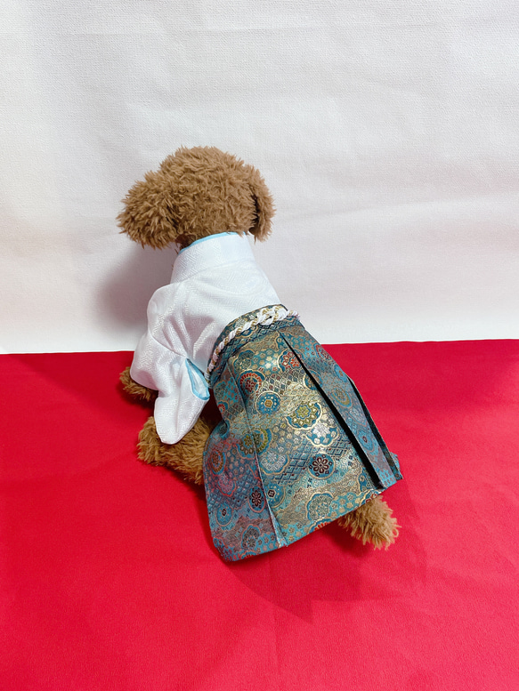 犬の袴✨犬用着物&袴セット 白×水色 金襴生地 ペット服・アクセサリー
