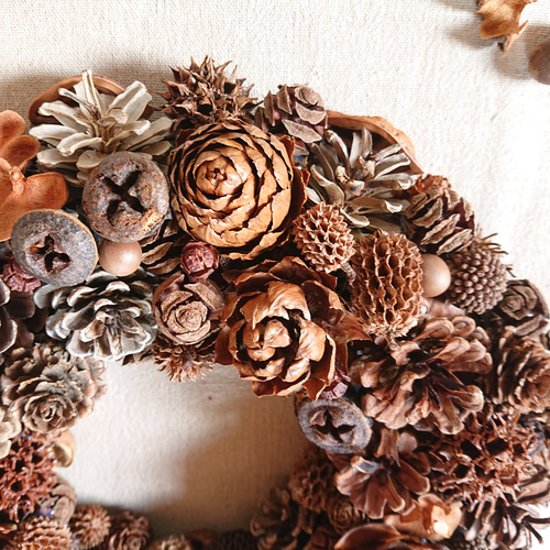 大きめ【木の実のリース】　秋 大きめ【木の実のリース】 秋