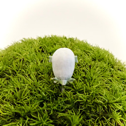 苔テラリウム用フィギュア『豆サイズのアマビエさん』Sサイズ(地衣類色） 3枚目の画像