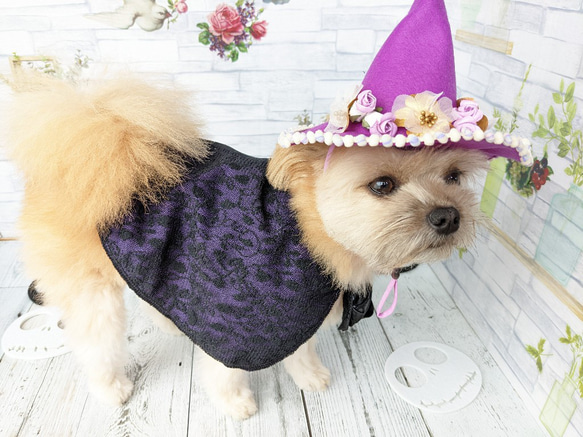 　ハロウィン　犬・猫用ハット　（S）花ピンク紫　とんがり帽子　小型犬　ハロウィンコスプレ 5枚目の画像