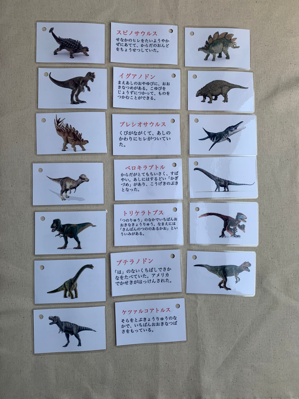 恐竜カード 3枚目の画像