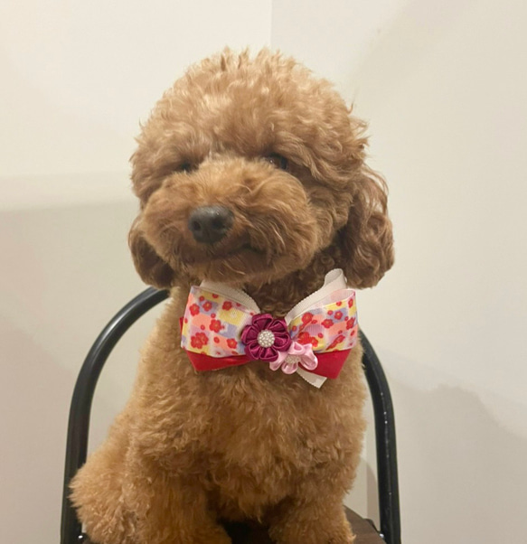 犬用猫用ペット用首輪和風柄が可愛い❤️リボンチョーカー