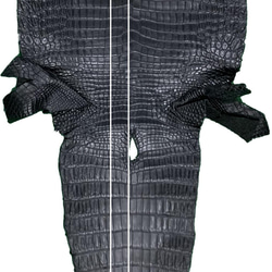 日本製　クロコダイル　LLサイズ　３５㎜巾　上質　チタン金具　本無双　袋縫い（手縫い）　ベルト　エキゾチックレザー 9枚目の画像