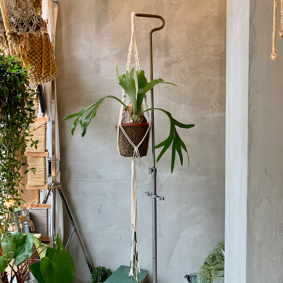 HANGING PLANTER ハンギングプランター 1枚目の画像