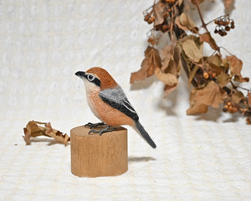 受注後制作】羊毛フェルト 野鳥 小鳥 卓上マスコット モズ(百舌鳥