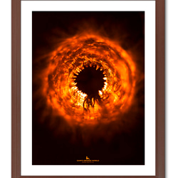 【A3サイズ】DANDELION FLUFF LIKE THE SUN（太陽のようなタンポポの綿毛） 1枚目の画像