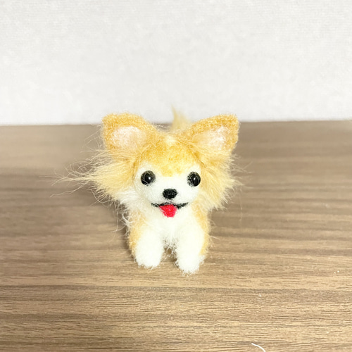 伏せチワワ 羊毛フェルト 羊毛フェルト モカ＆ラテ 通販 14583406