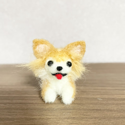 伏せチワワ 羊毛フェルト 羊毛フェルト モカ＆ラテ 通販 14583406