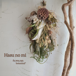 ハスの実&ベルガムナッツ 秋のドライフラワースワッグ スワッグ fu.wa