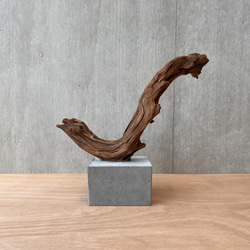 コンクリート盆栽 流木オブジェ】ディスプレイ アート アクセサリー