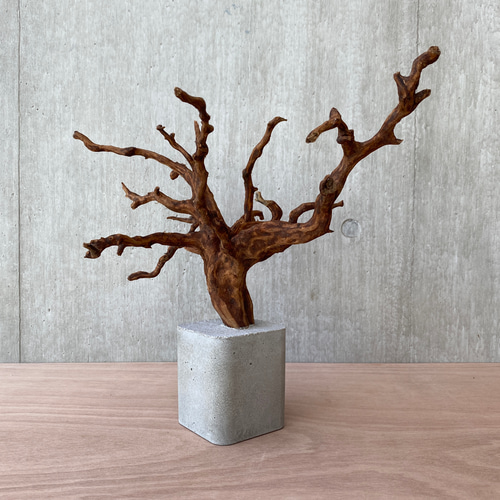 御神木　アート　インテリア　生花　オブジェ 御神木 アート インテリア 生花 オブジェ 御神木 アート インテリア