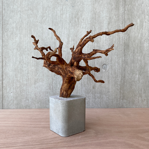 コンクリート盆栽 流木 木 オブジェ インテリア アート アクセサリー コンクリート盆栽 流木オブジェ】ディスプレイ 什器