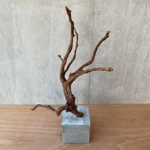 ➃【コンクリート盆栽 流木オブジェ】ディスプレイ 什器 アクセサリー