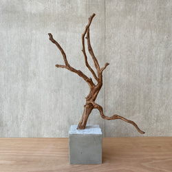 ce8e1ea7db577e2bba709b811db4c5