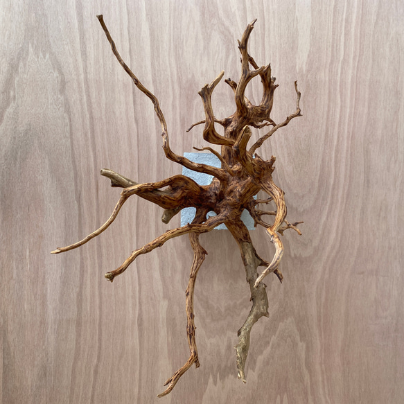 【コンクリート盆栽 流木オブジェ】ディスプレイ 什器 アクセサリー ネックレス インテリア アート 芸術 水槽 爬虫類 4枚目の画像
