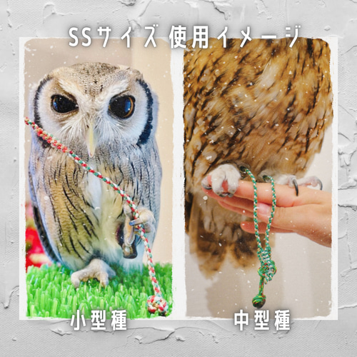 【オーダー】フクロウ タカ 猛禽類用 ジェス  ナイロンジェス  ロープジェス オーダーM】フクロウ・タカ・鳥・猛禽類☆編み込みロープジェス