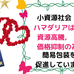 ♦送料無料・黒みつdahliaケーキ　 14枚目の画像