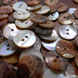 アコヤ貝のボタン　20mm　2穴　12個 7枚目の画像