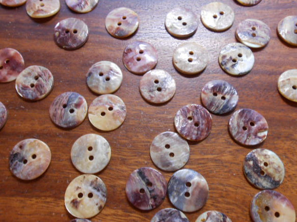 アコヤ貝のボタン　20mm　2穴　12個 4枚目の画像