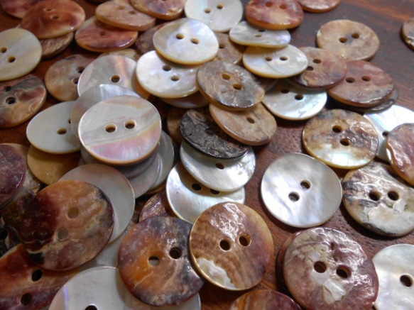 アコヤ貝のボタン　20mm　2穴　12個 9枚目の画像