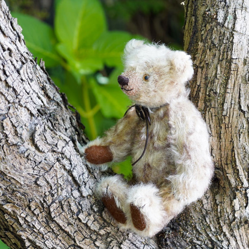 テディベア ウィン ぬいぐるみ Teddy bear Kao. 通販 14585412
