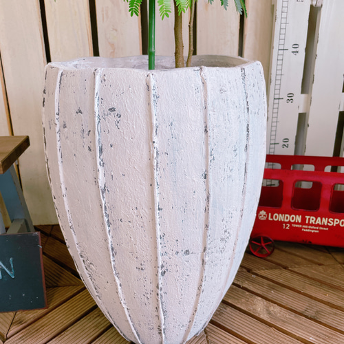 現品のみ♡オシャレなグリーン【エバーフレッシュ】人気の観葉植物