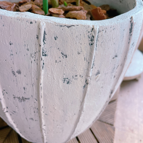 エバーフレッシュ 観葉植物 グレー陶器鉢 軽くておしゃれな植木鉢「amabro アマブロ」の鉢に観葉植物を植え替え