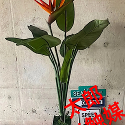 光触媒 人工観葉植物 ウォールグリーン フェイク フラワー ユーカリ180