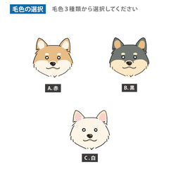 柴犬☆毛色が選べる！うちの子名入れ　ミニサイズメモカード２０枚セット 6枚目の画像