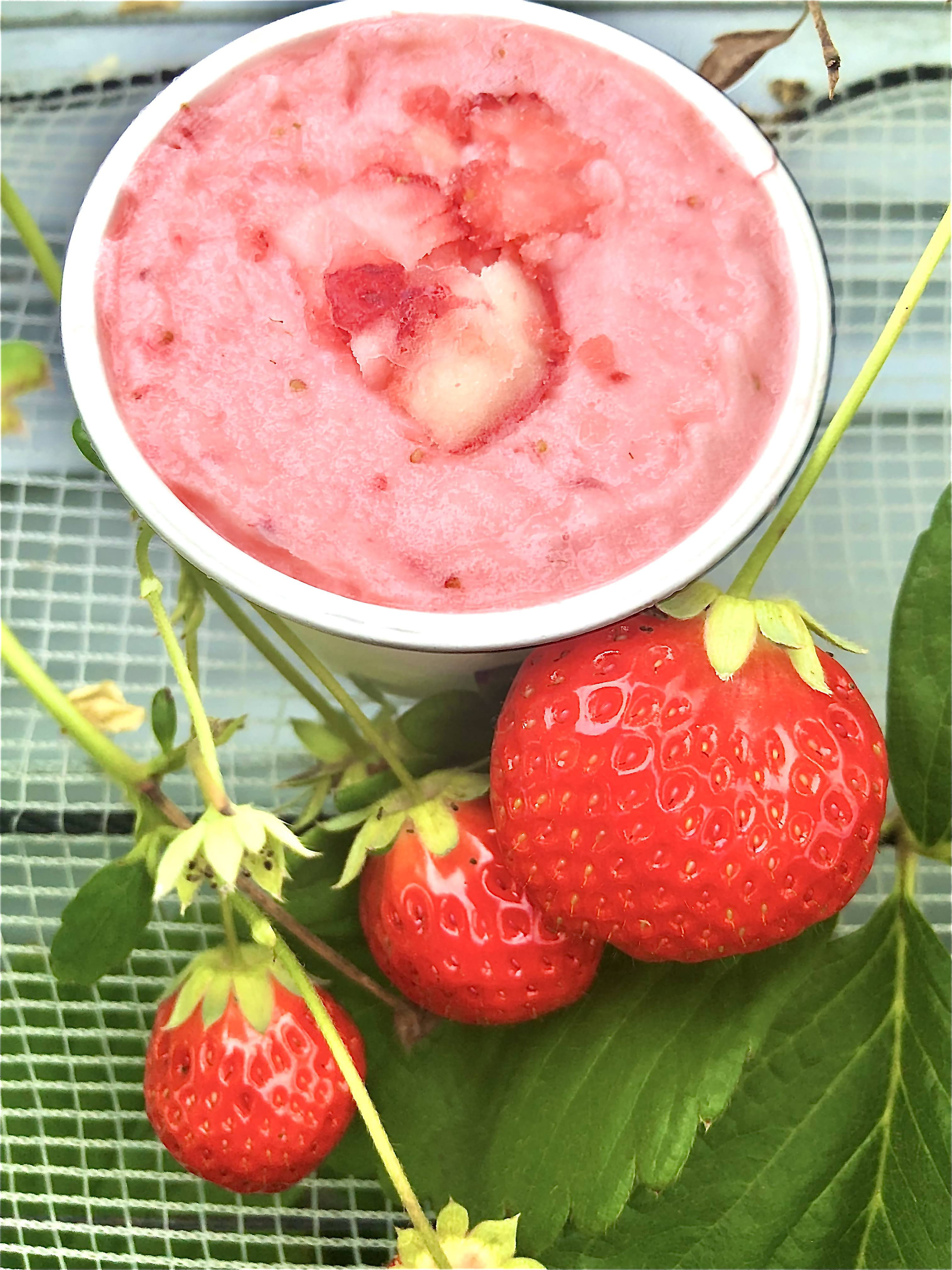 熊本阿蘇　果樹園が作った農薬不使用いちごのアイス　12個