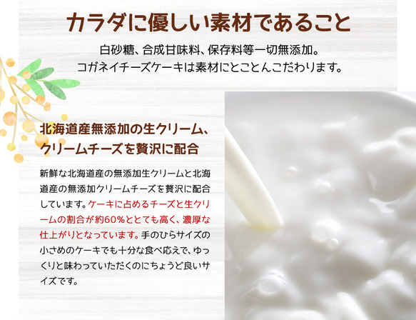 【ハロウィン】【秋ギフト】【手土産】【誕生日】カラダプラス チーズケーキセット（6個入） 7枚目の画像