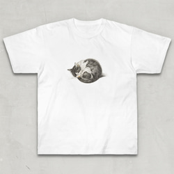 ヘビーウェイトTシャツ / ジャン ベルナール「丸まって 眠る 猫 (1825)」 Tシャツ ニャンモナイト 絵 レトロ 2枚目の画像