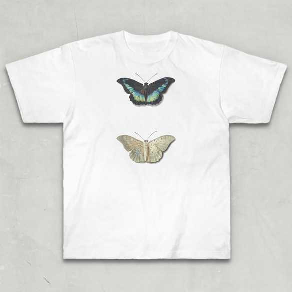 ヘビーウェイトTシャツ / ゲオルギウス ヤコブス ヨハネス ファン オス「蝶々 の 表 と 裏」 Tシャツ 絵 春 2枚目の画像