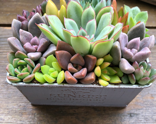 d3fb50e448c94cab4ef002202713bf