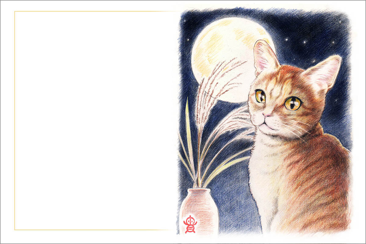 ワンピなど最旬ア！ 【merさま】ねこイラストのポストカードセット★ 小物