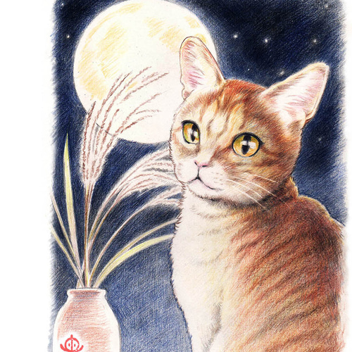 お月見ねこさんイラストポストカード・5枚セット ポストカード