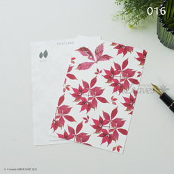 016 花と蝶 アメリカヅタ（赤）植物ポストカード 【日本郵便クリックポスト対応：可/1通40枚まで】 1枚目の画像