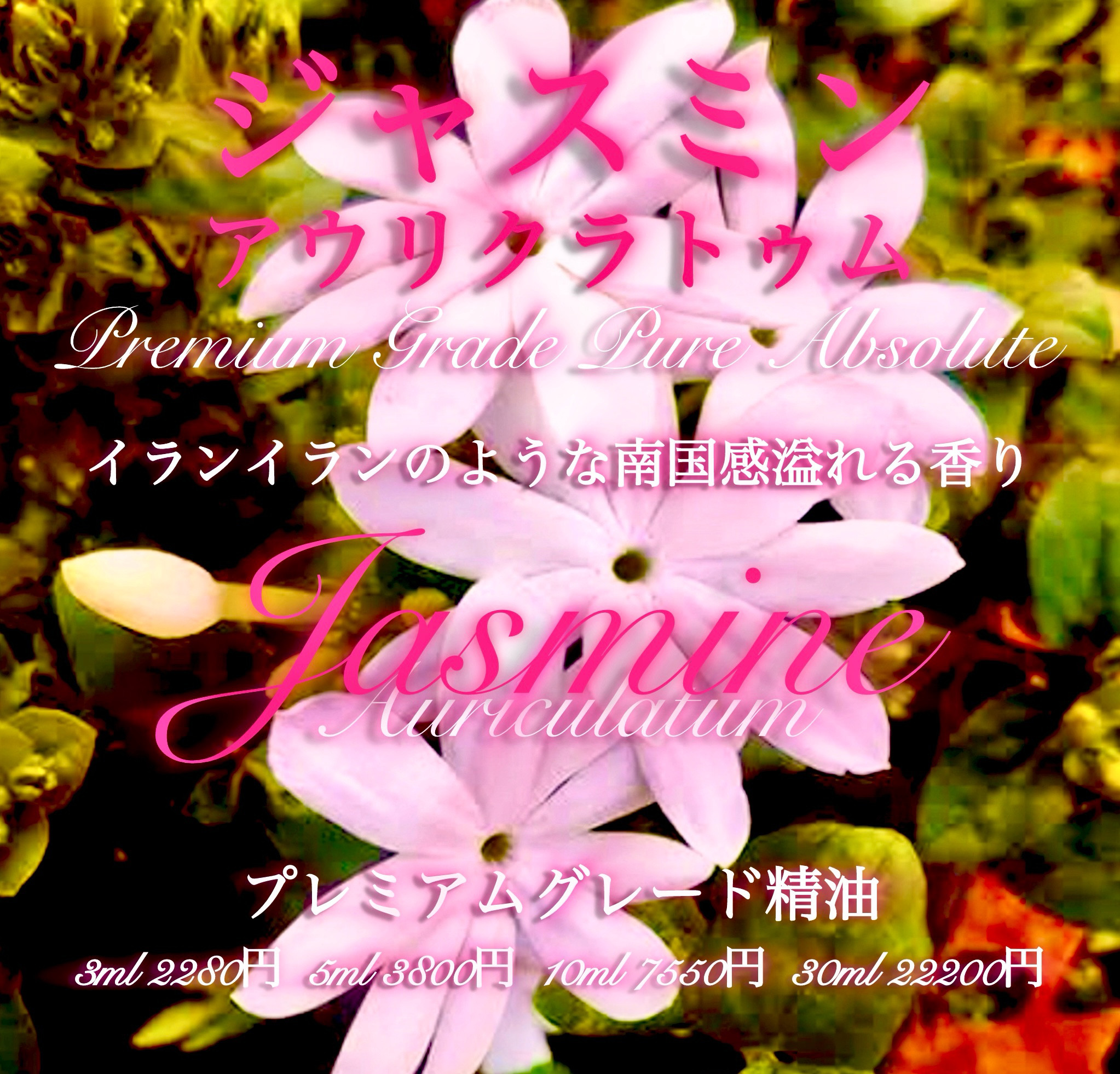 【南国感溢れる香り】ジャスミンアウリクラトゥムアブソリュート10ml