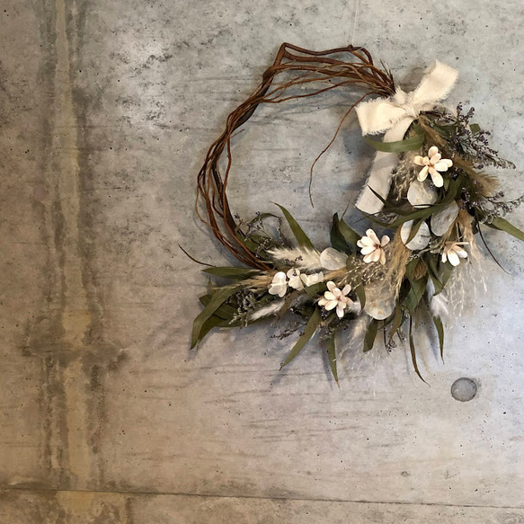 ミモザリース ブルーファンタジア ユーカリ ミモザリースブルー