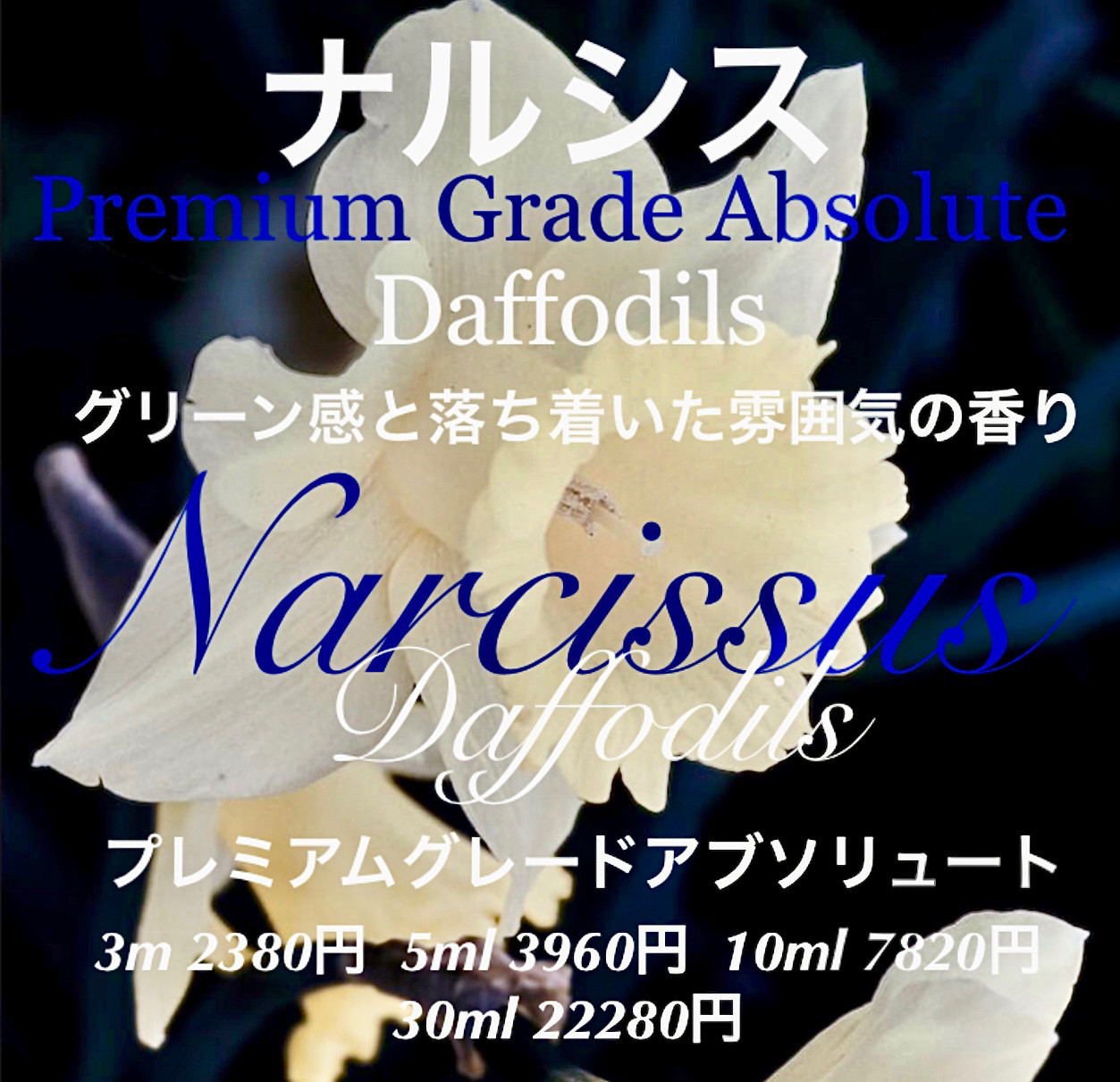 ハイクオリティアブソリュートナルシス（水仙）10ml（3ml/5ml販売中）