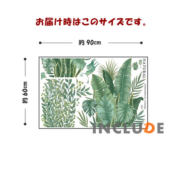 594 ウォールステッカー 植物 おしゃれ 壁ステッカー トロピカルプランツ リーフ モンステラ エンセーテ バショウ 4枚目の画像