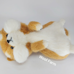 へそ天柴犬　～Wool Farm～　羊毛フェルト 4枚目の画像