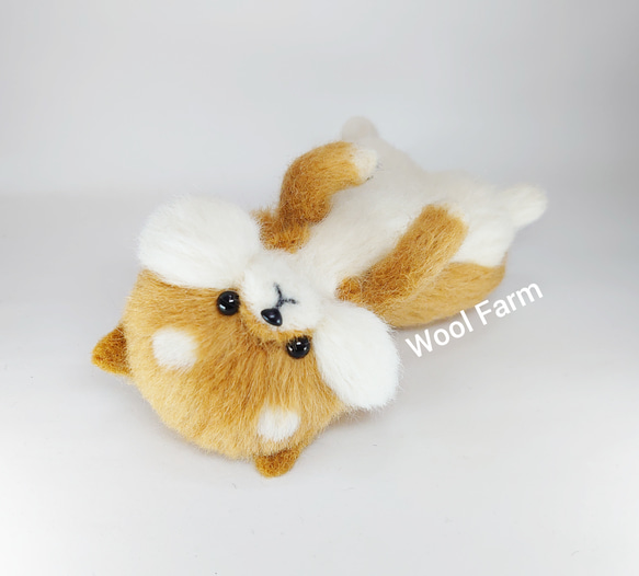 へそ天柴犬　～Wool Farm～　羊毛フェルト 3枚目の画像