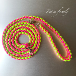 a2d592365d3399c62062c0560cc63f