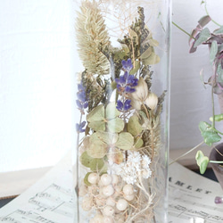 【DryFlower】ガラス瓶にあしらった花々  ‘’ボアプランツ‘’ 2枚目の画像